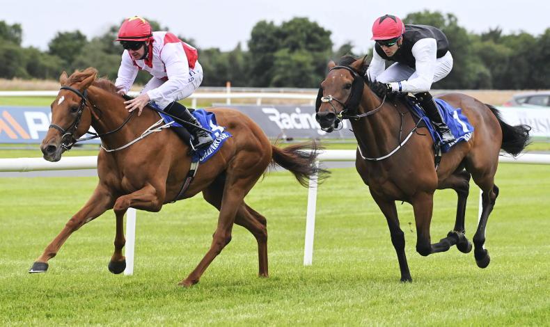 Redstone Well(IRE) - Highclere Racing
