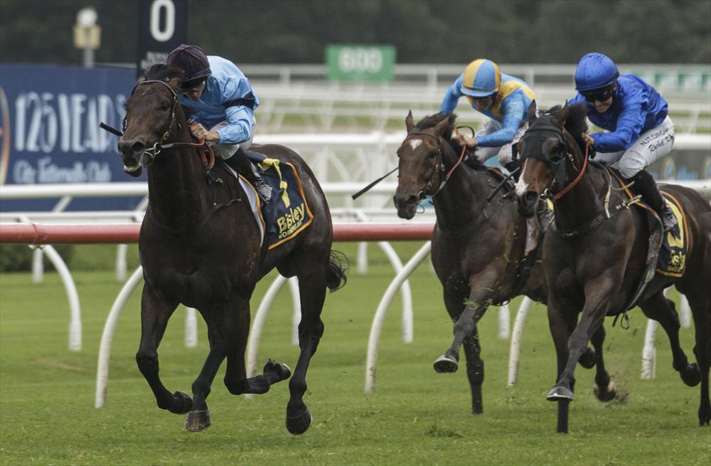 EDISON (AUS) - Highclere Racing