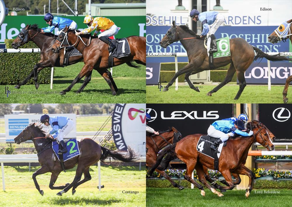 Stable Stars - Highclere Racing