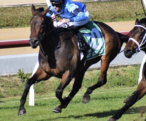 Racehorse Ownership - Highclere Racing Australia